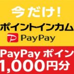 ポイントインカムでPayPayポイント1,000円分